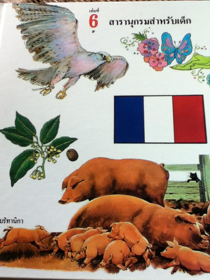 สารานุกรมสำหรับเด็ก บริทานิกา 8 เล่ม (เล่มที่ 5-11 และ 13)