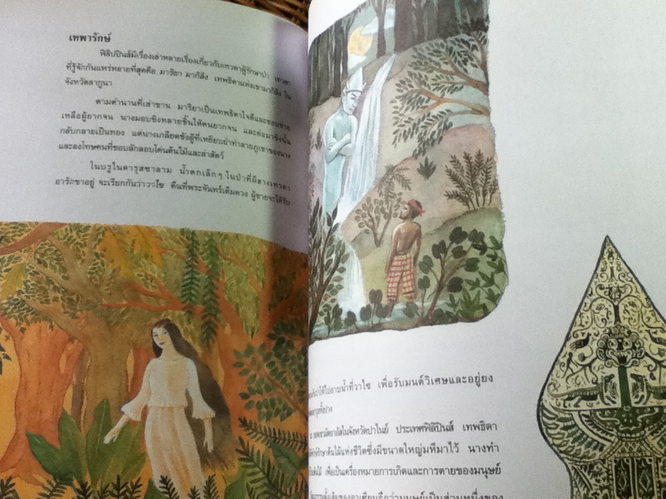 หนังสือส่งเสริมการอ่านสำหรับระดับประถมศึกษา ป่าไม้รอบตัวเรา Forest, Forest Everywhere