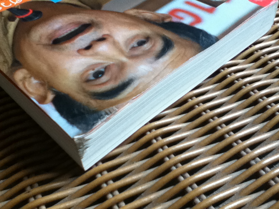 ความคิดสองทศวรรษ ธีรยุทธ บุญมี