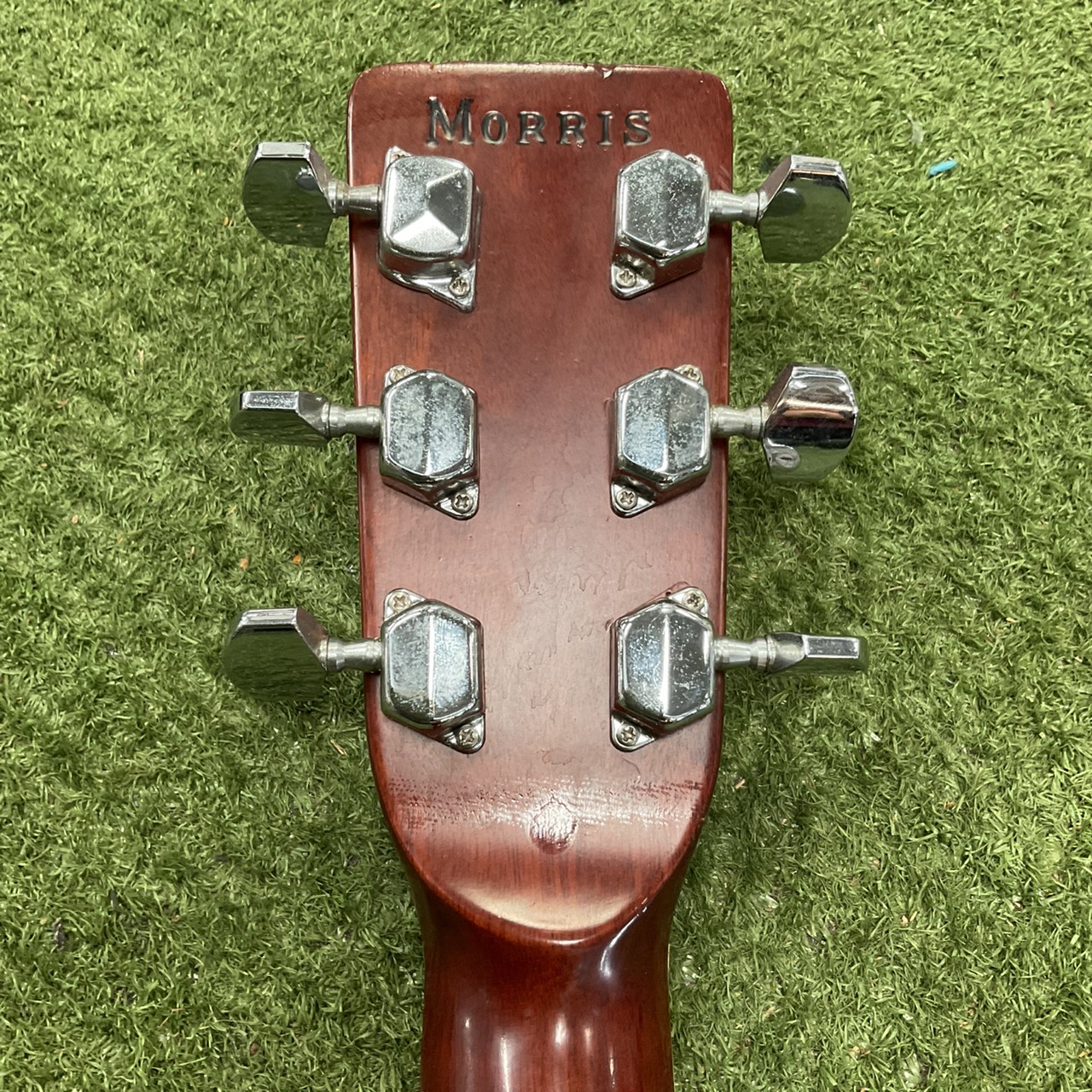 กีต้าร์โปร่ง Morris : W-23