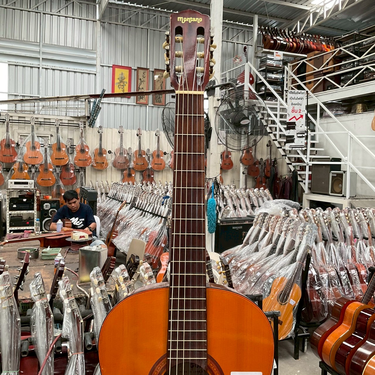 กีต้าร์คลาสสิค MONTANO : A-3