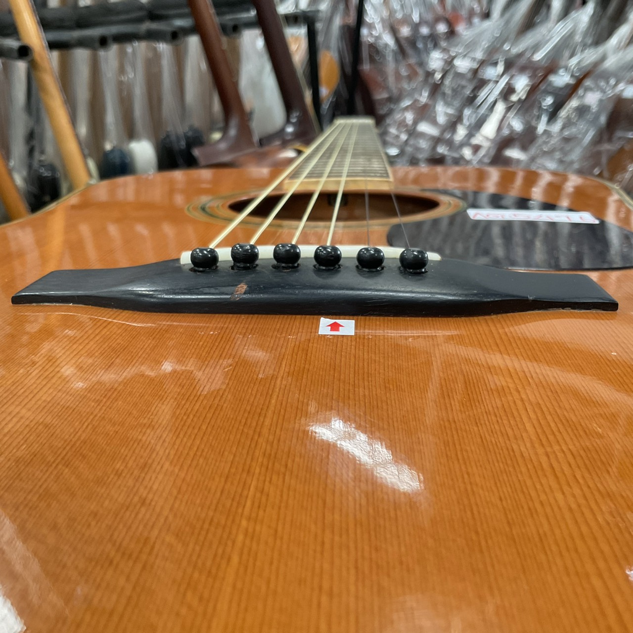 กีต้าร์โปร่ง Morris : W-30