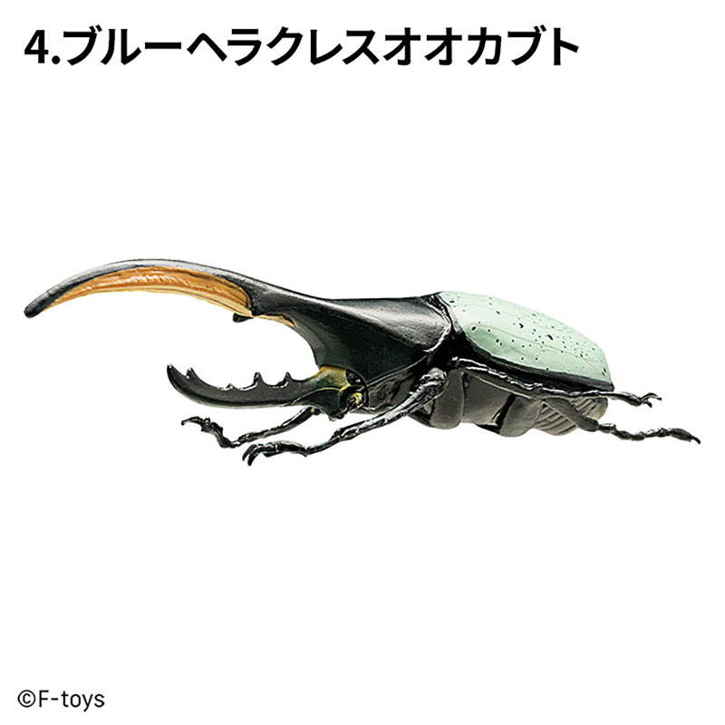 Insect Hunter Beetle x Stag Beetle 10Pack BOX (CANDY TOY)(Pre-order)
