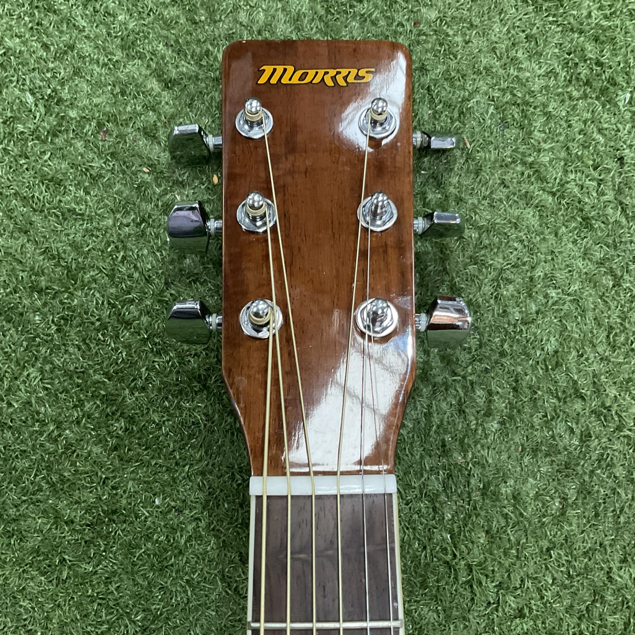 กีต้าร์โปร่ง MORRIS : MF-306TS