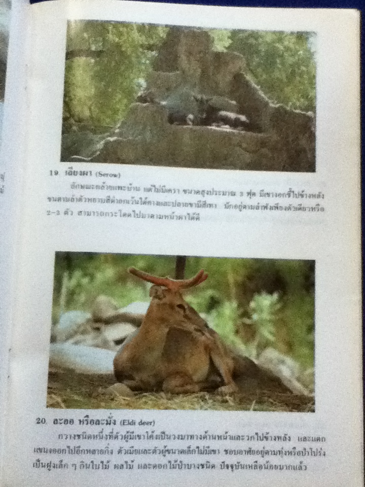 ชีวิตในสวนสัตว์เมืองไทย (หนังสือแถม)