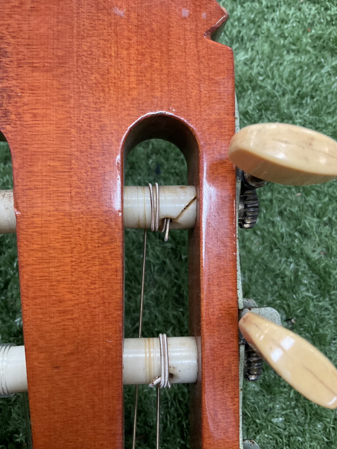 กีต้าร์คลาสสิค YAMAHA : G-70D