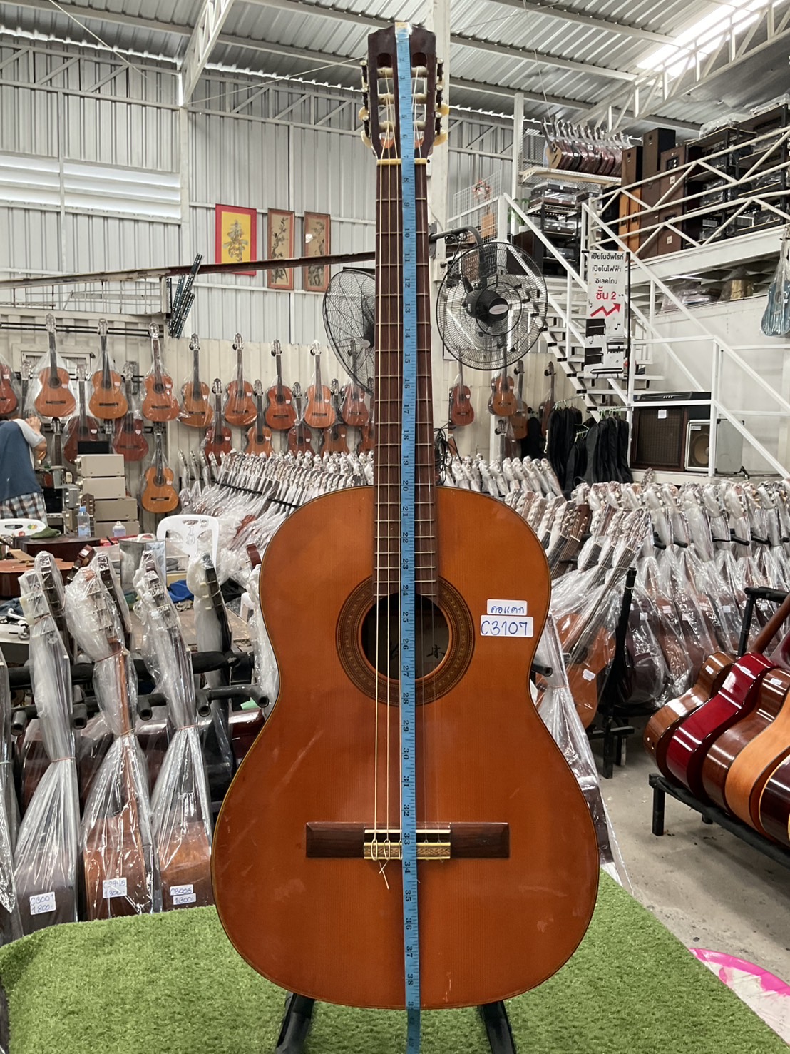 กีต้าร์คลาสสิค 鈴木 (Suzuki) : 34R