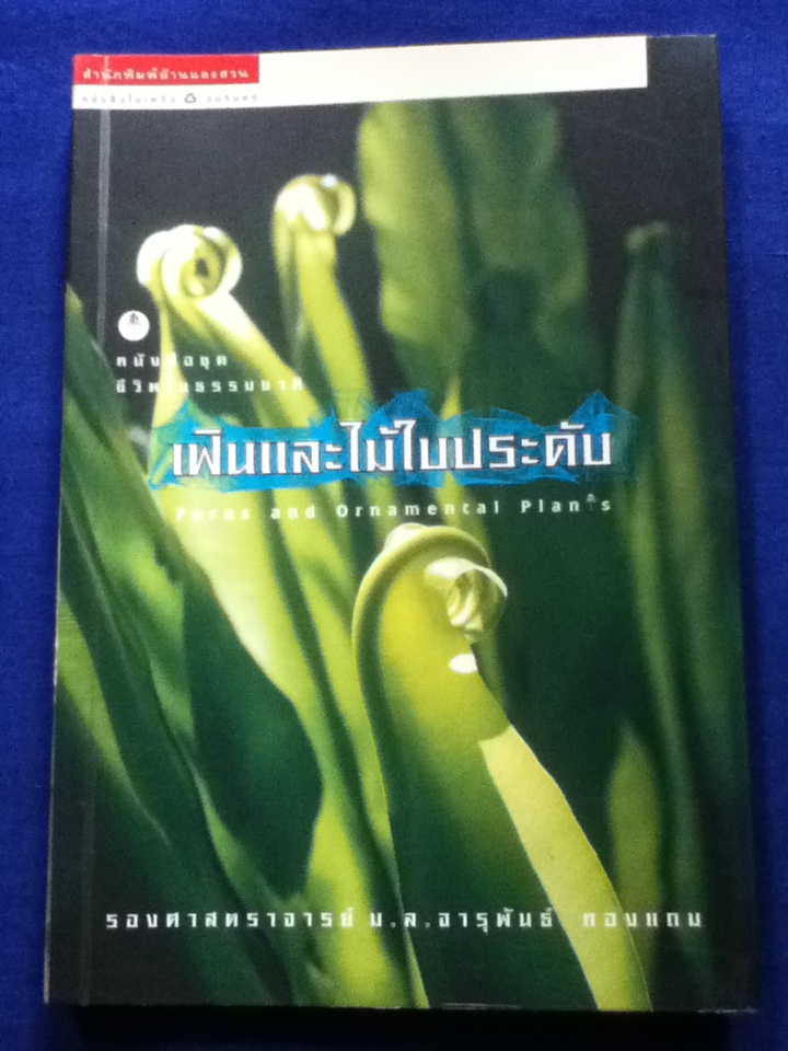 เฟินและไม้ใบประดับ
