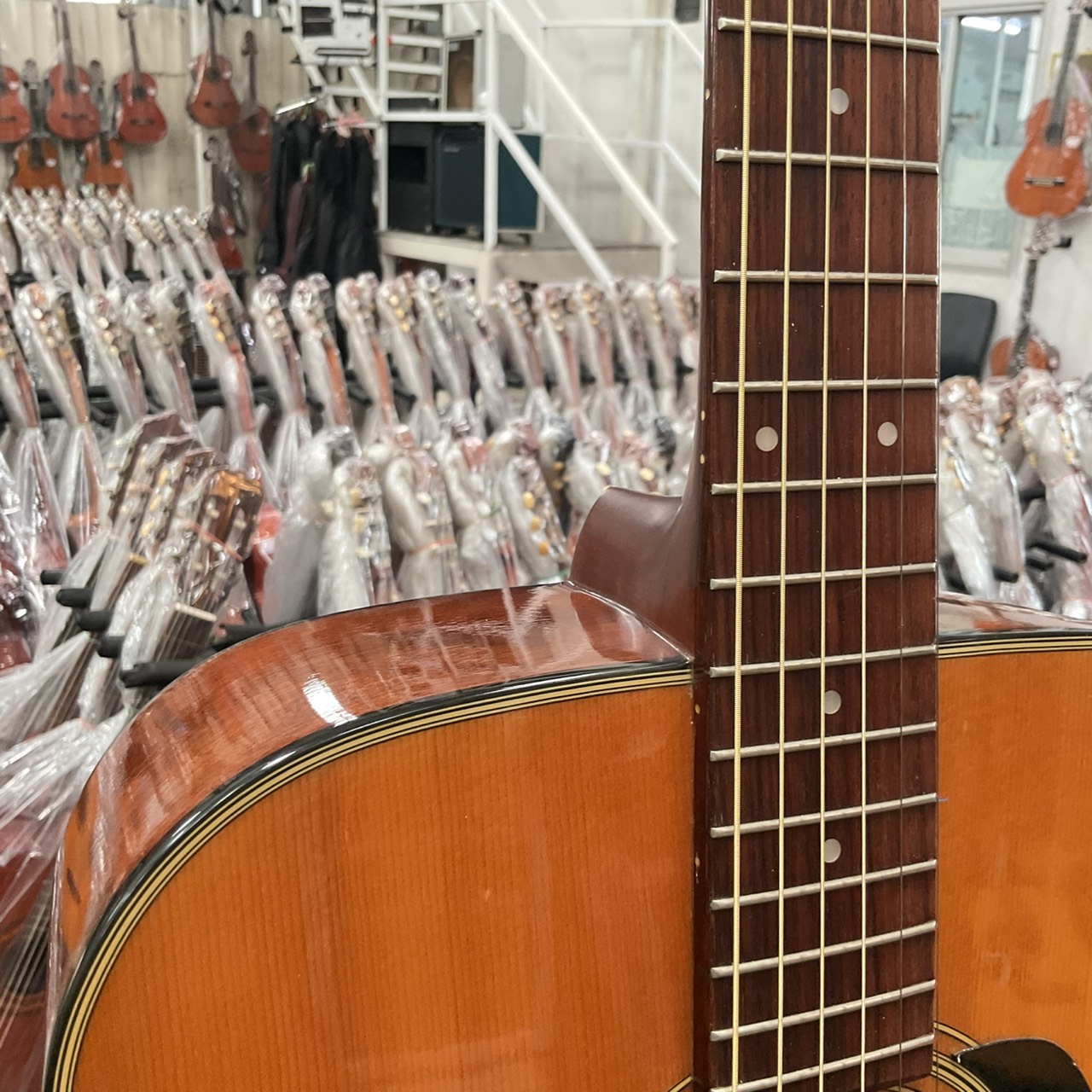 กีต้าร์โปร่ง Morris : MD-503