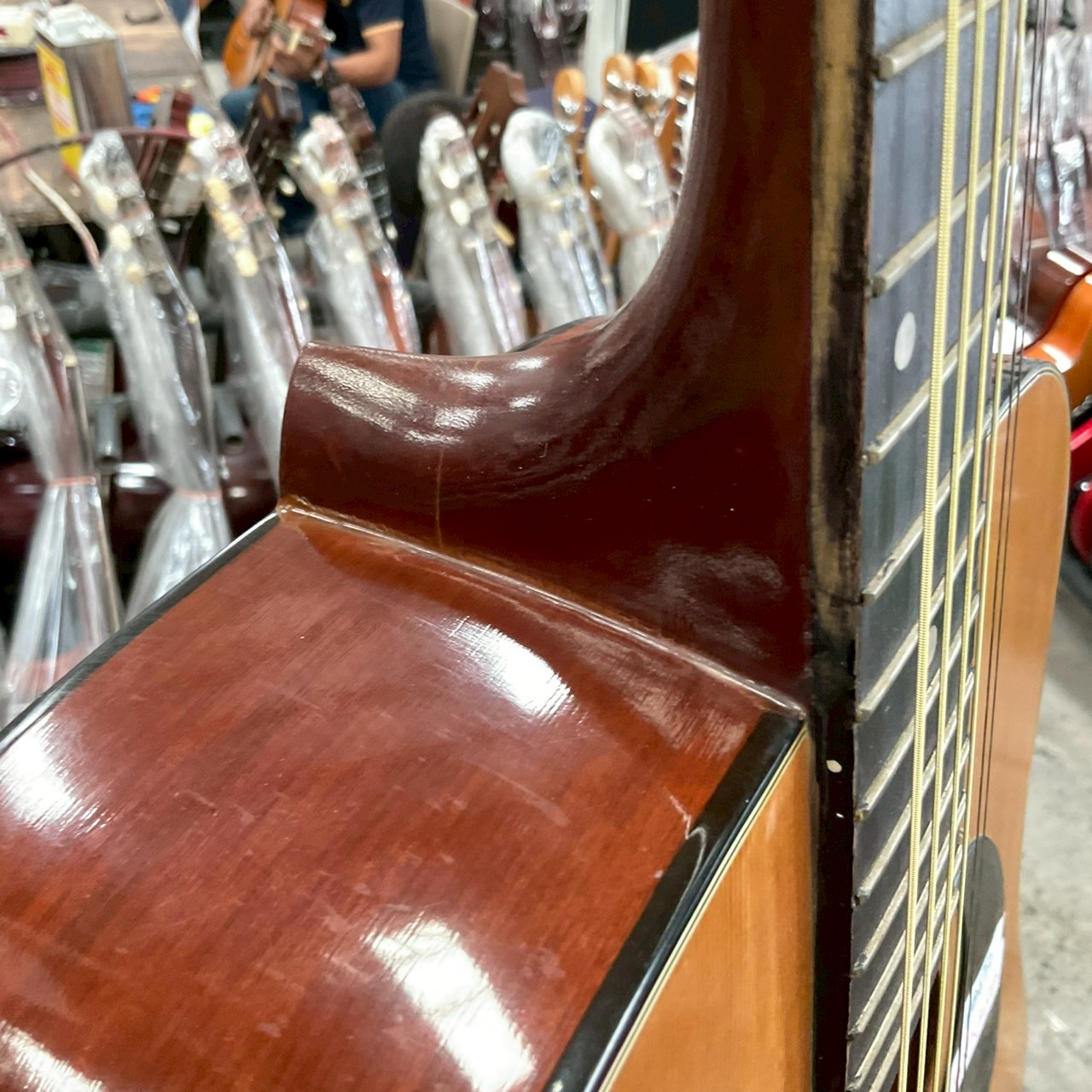 กีต้าร์โปร่ง New Star(ENCORE) : NW13