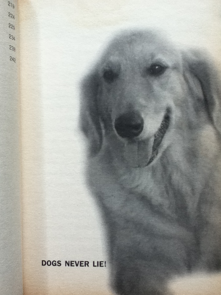 ปรัชญาหมาสอนคน