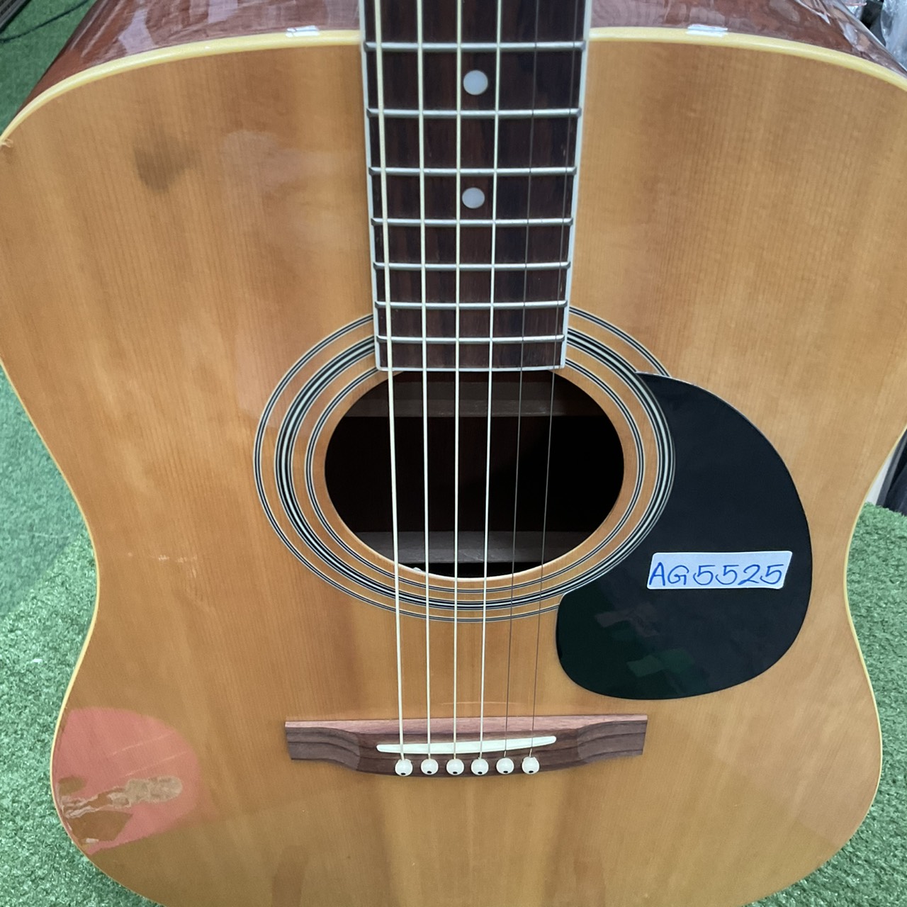 กีต้าร์โปร่ง Sepia Crue : W-250 N