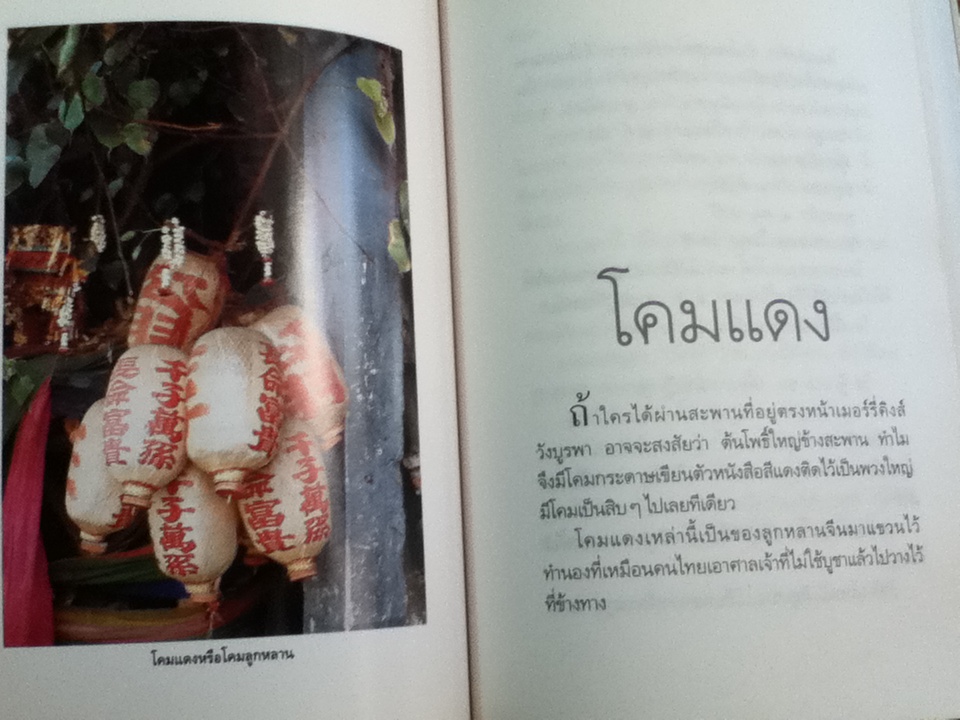 ตึ่งหนั่งเกี้ย/ จิตรา ก่อนันทเกียรติ