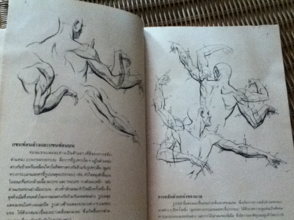 มือ กายวิภาคและการสร้างสรรค์/ เบิร์น โฮการ์ธ