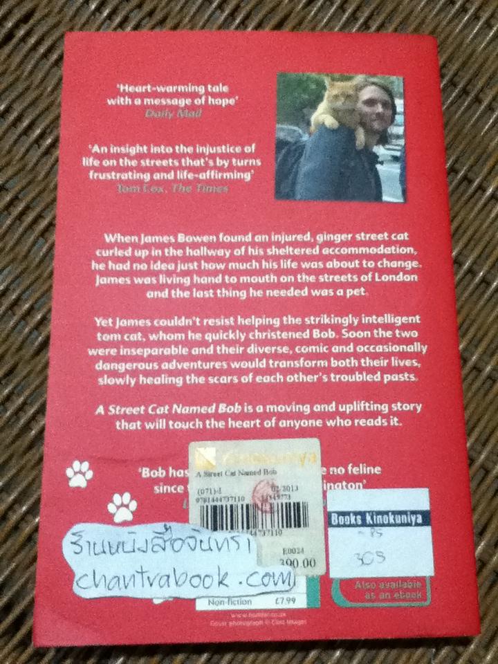 A Street Cat Named Bob/ JAMES BOWEN