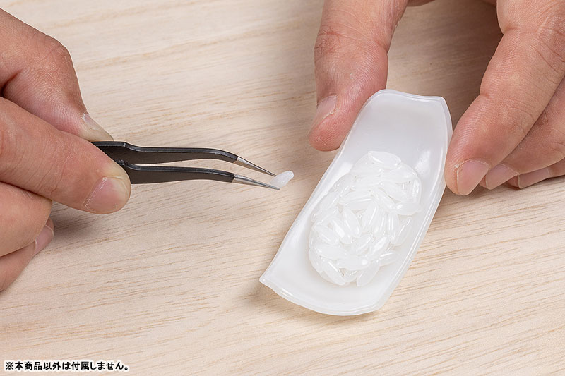 Sushi Plastic Model: Squid 1/1 Plastic Model(Pre-order)