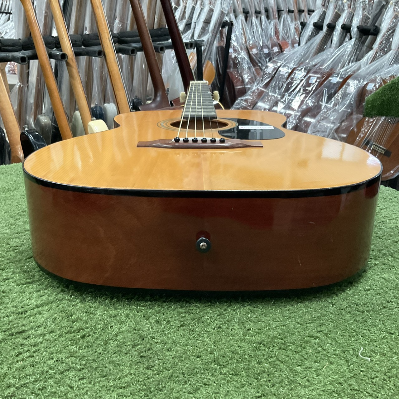 กีต้าร์โปร่ง Great Lake : F-101