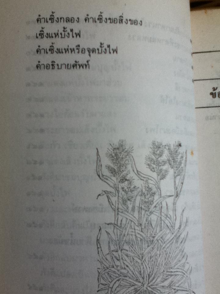 ผาแดง-นางไอ่/ ดร.ปรีชา พิณทอง