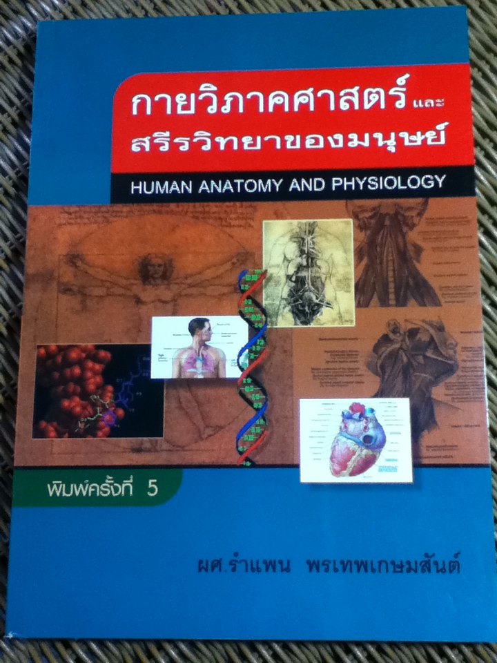 กายวิภาคศาสตร์และสรีรวิทยาของมนุษย์/ ผศ.รำแพน พรเทพเกษมสันต์