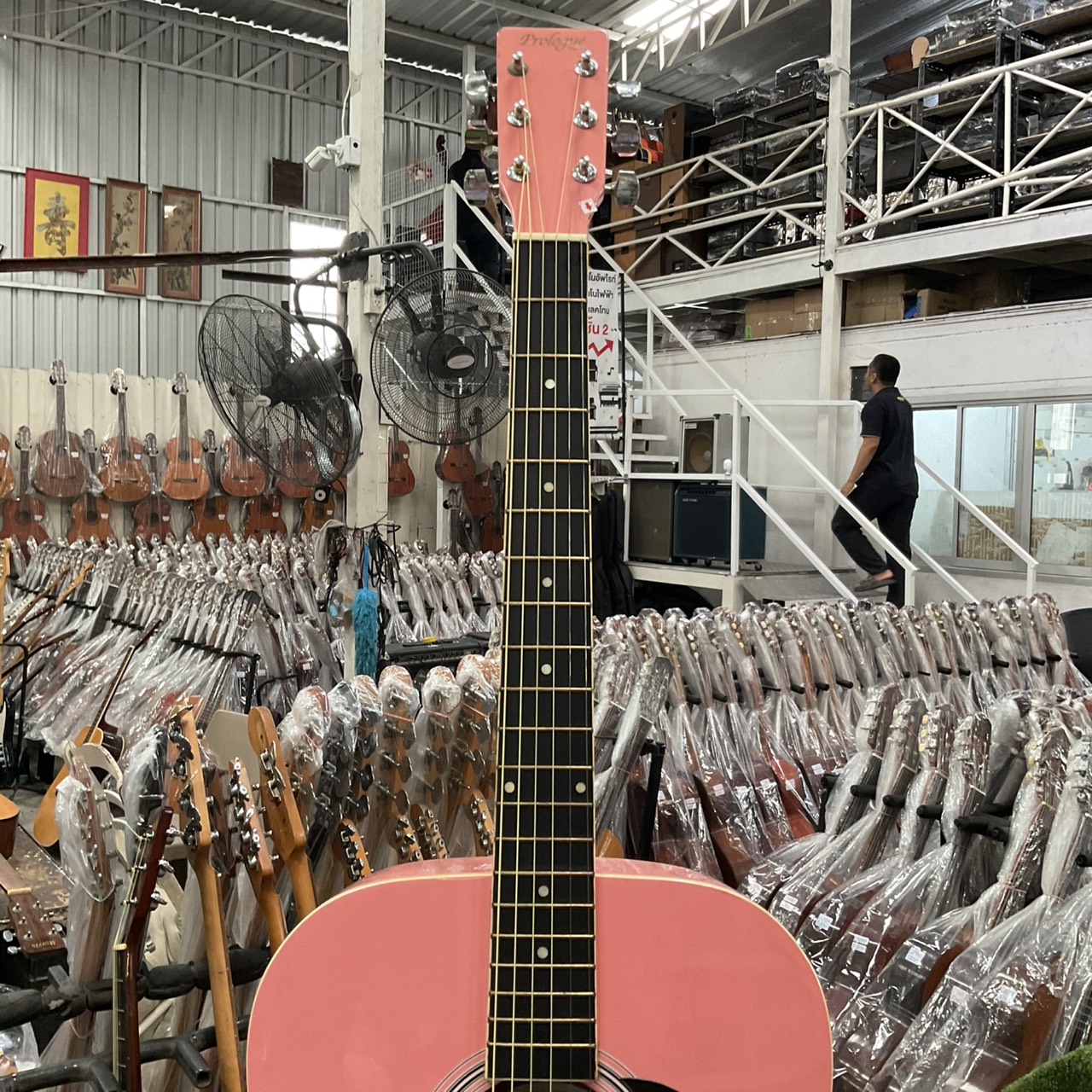 กีต้าร์โปร่ง Prologue : MD-100 PINK