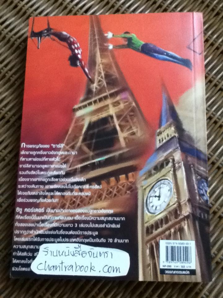 ไลอ้อนบอย/ ซิซู คอร์เดอร์