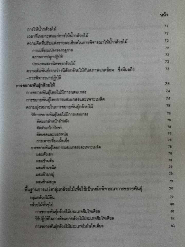 กล้วยไม้สำหรับผู้เริ่มต้น