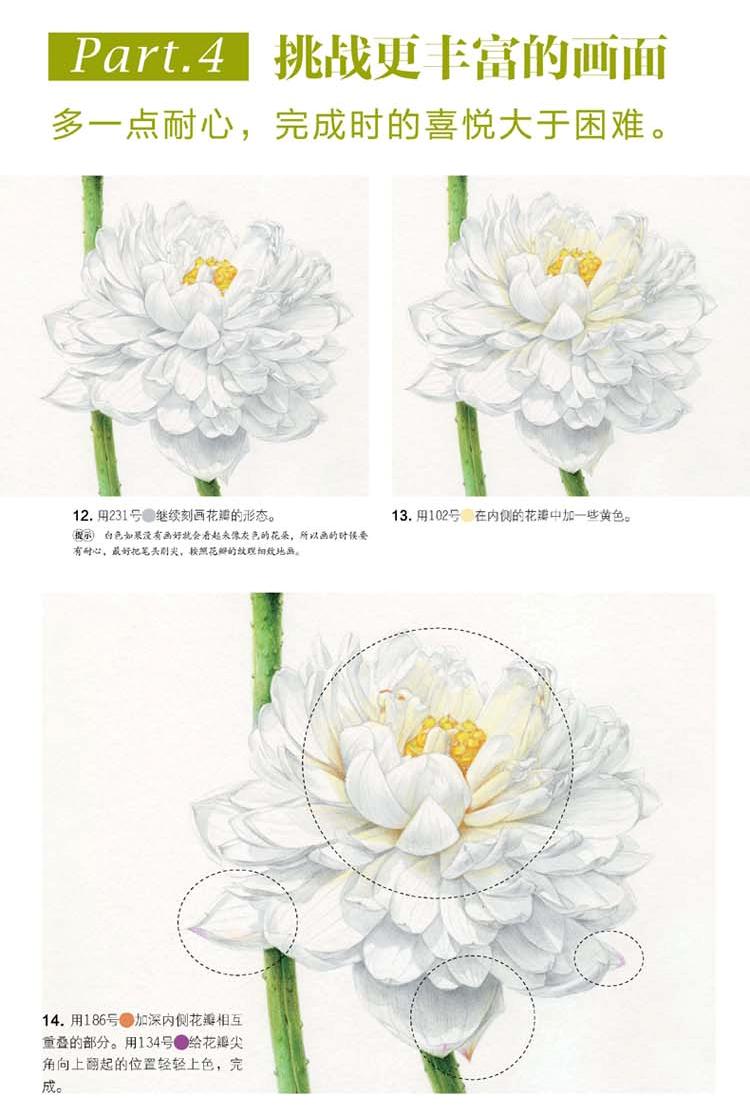(Pre-order) หนังสือ FLOWER DRAWING
