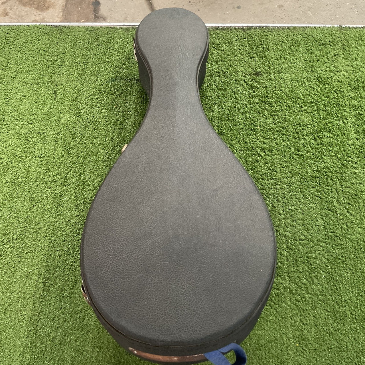 แมนโดลิน SUZUKI : No.228