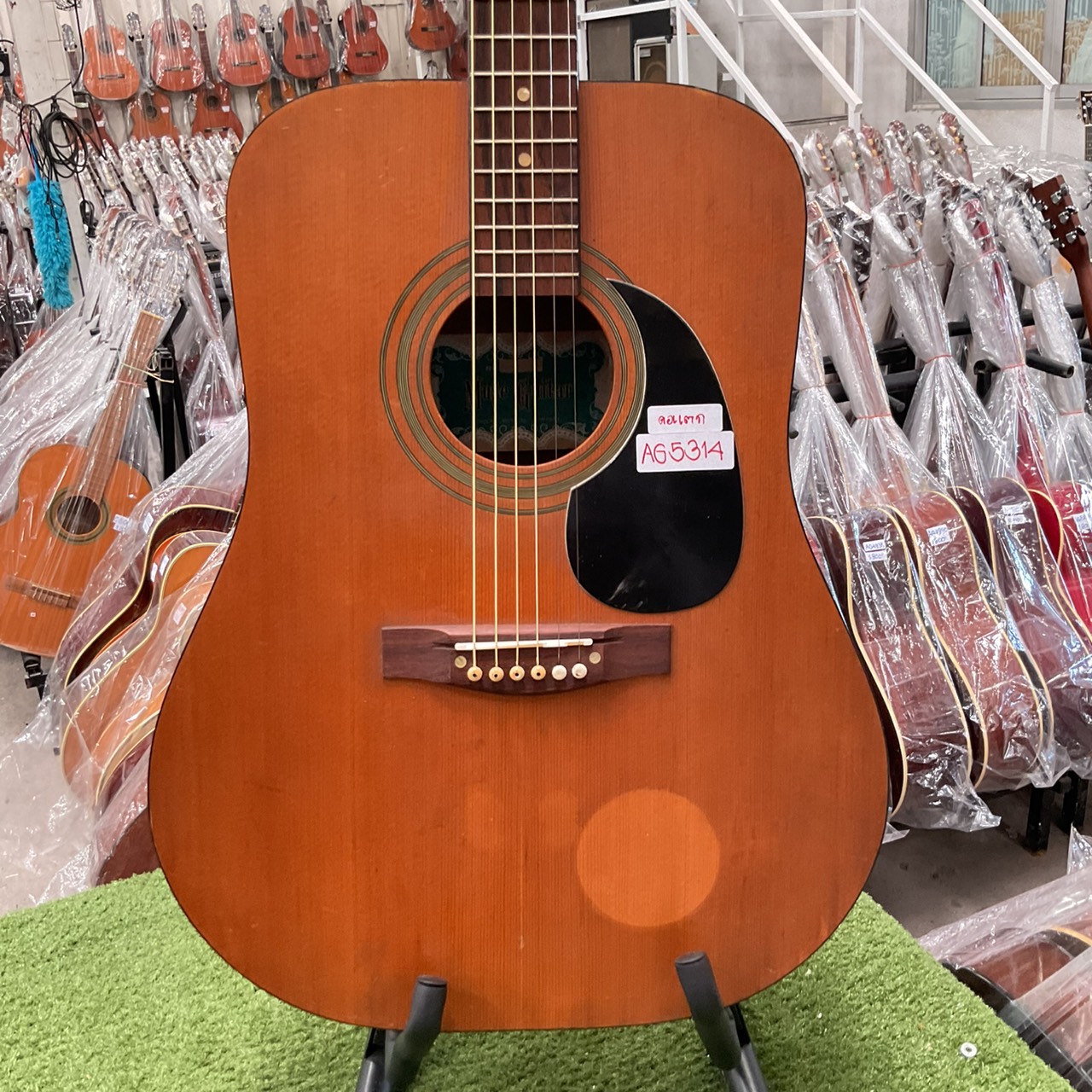 กีต้าร์โปร่ง Muse