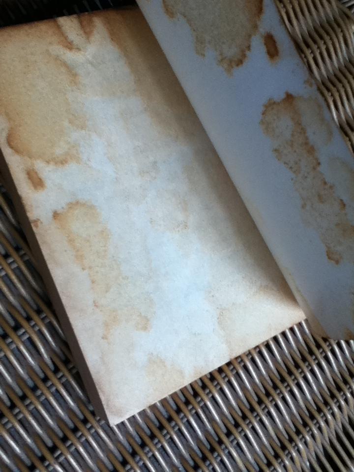 หลายรักของโดบี้/ Max Shulman