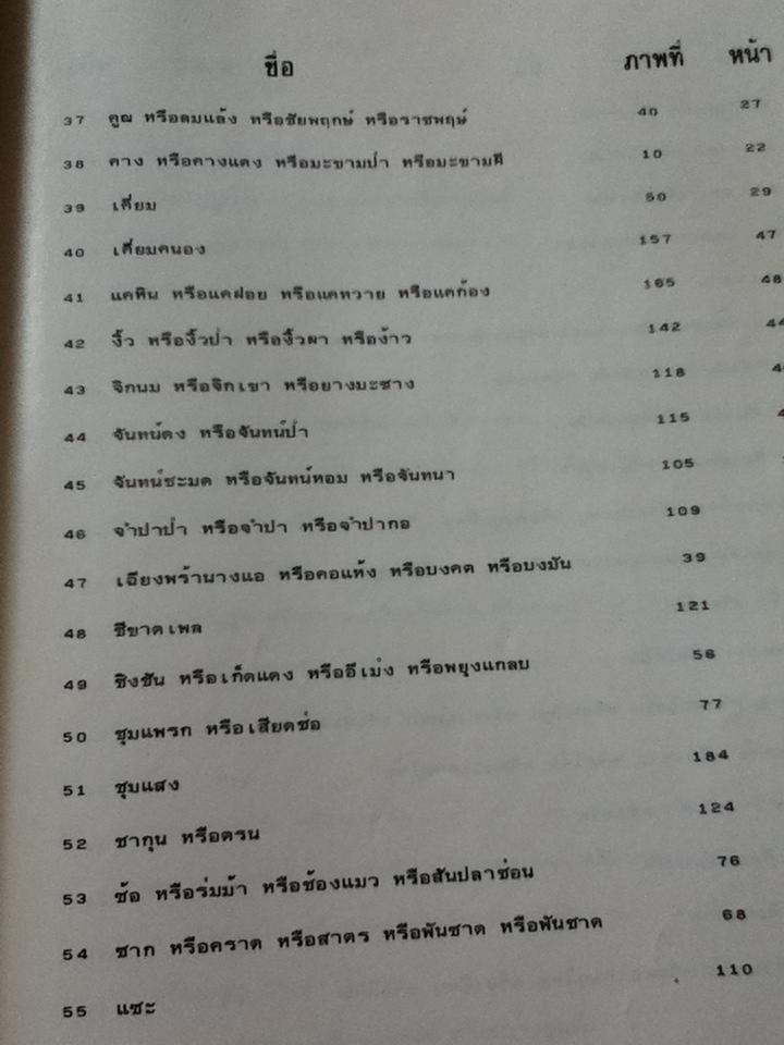 ลักษณะโครงสร้างของไม้และการตรวจพิสูจน์/ ณรงค์ โทณานนท์