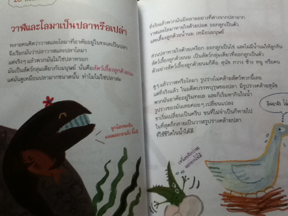 100 คำถามเรื่องชวนสงสัย