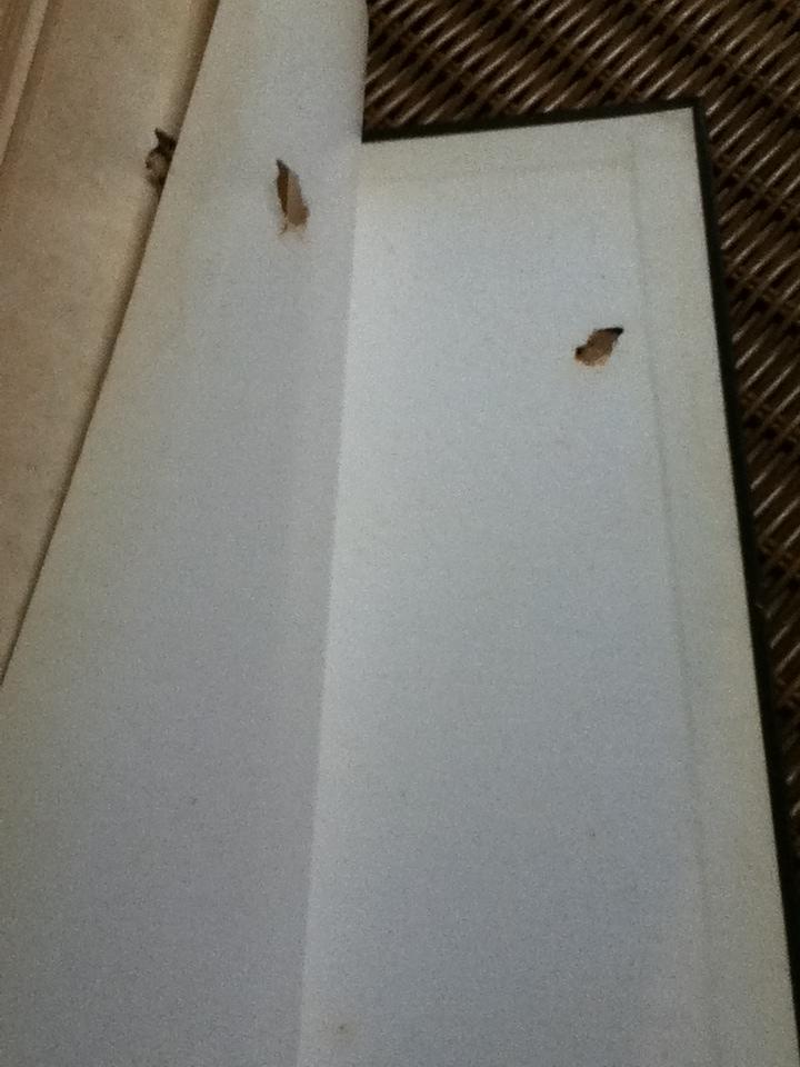 พลิกประวัติศาสตร์รัตนโกสินทร์ 10 ยุค/ ปรเมศวร์ วัชรปาณ