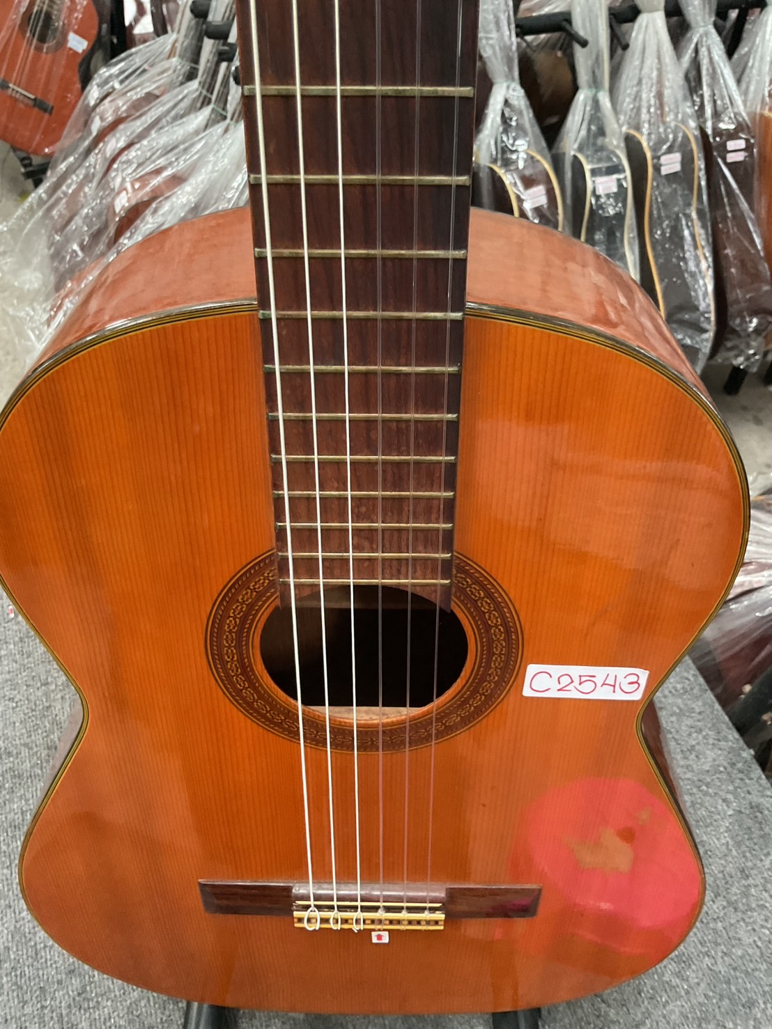 กีต้าร์คลาสสิค TOKAI : L-80