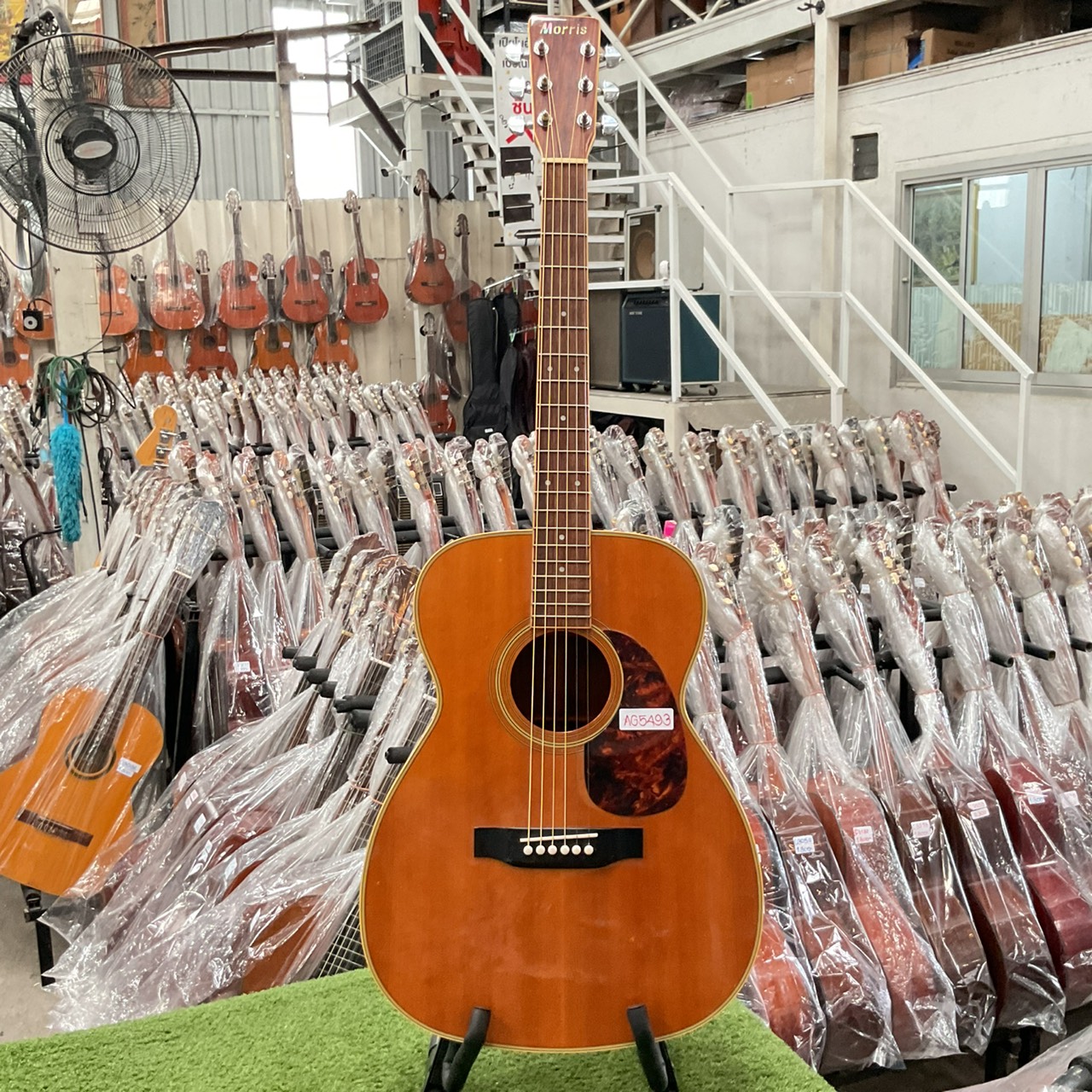 กีต้าร์โปร่ง Morris