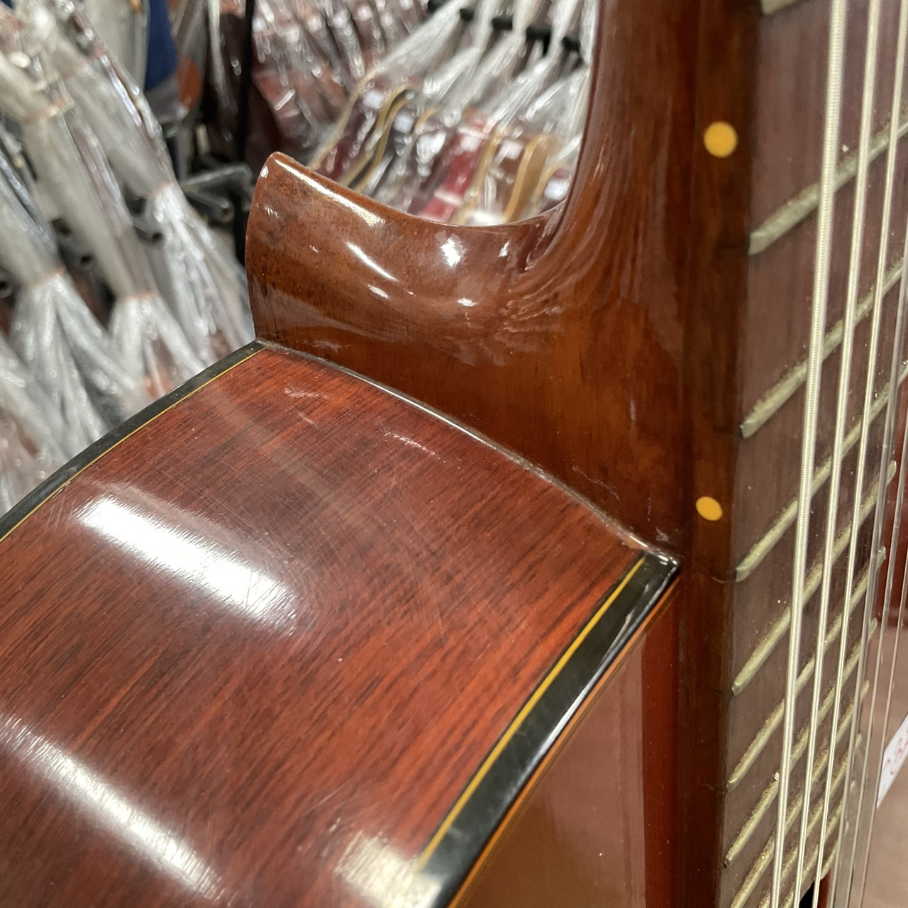 กีต้าร์คลาสสิค 鈴木 (Suzuki) : 36-R