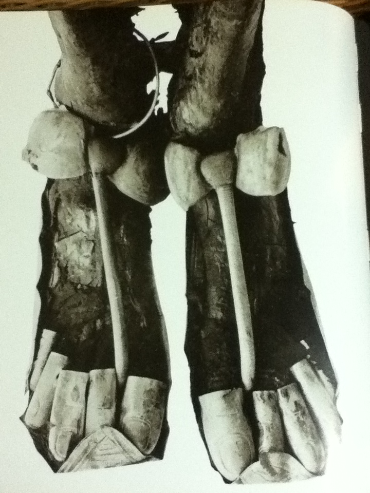 มหาสมบัติแห่งไอยคุปต์