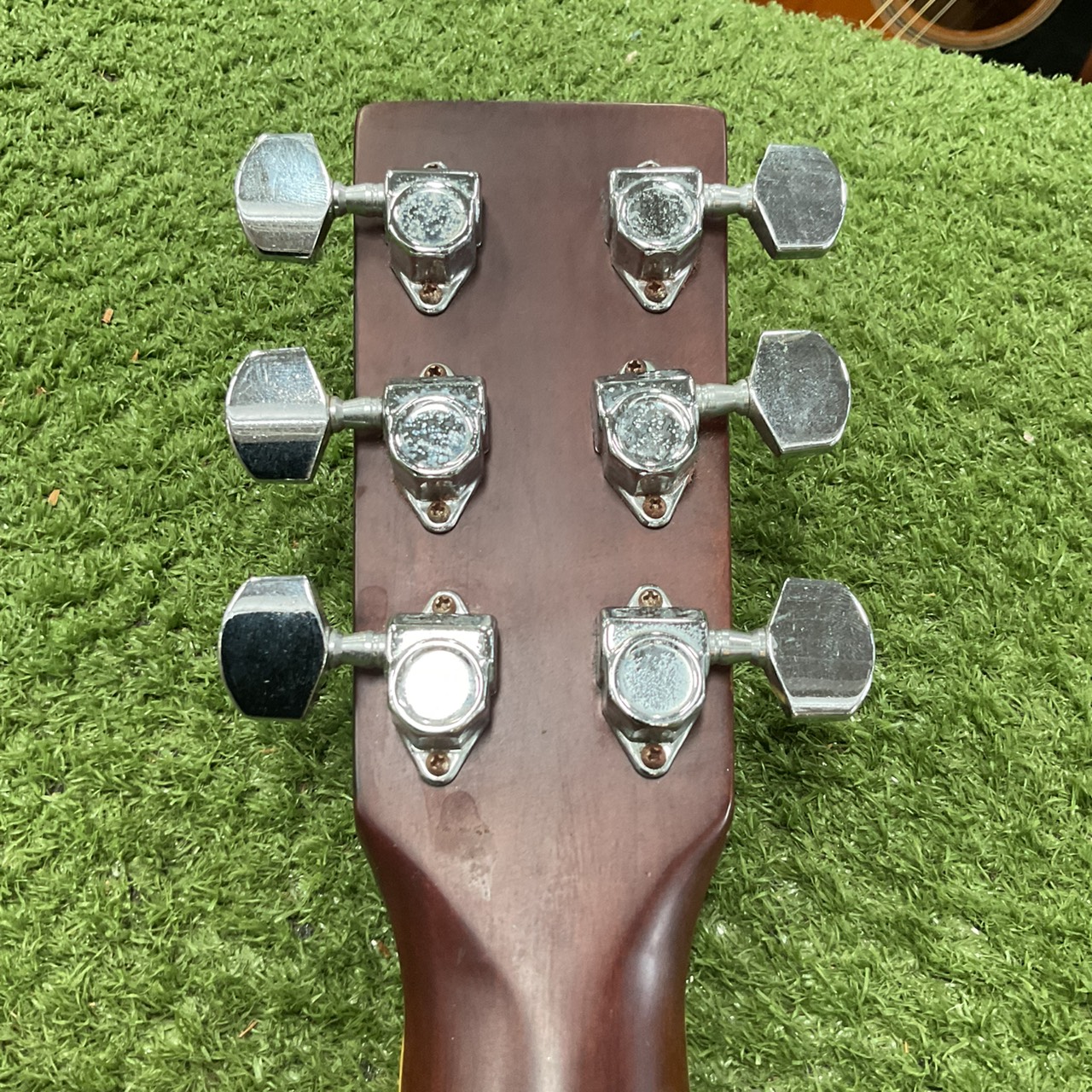 กีต้าร์โปร่ง Morales : LYRE BIRD