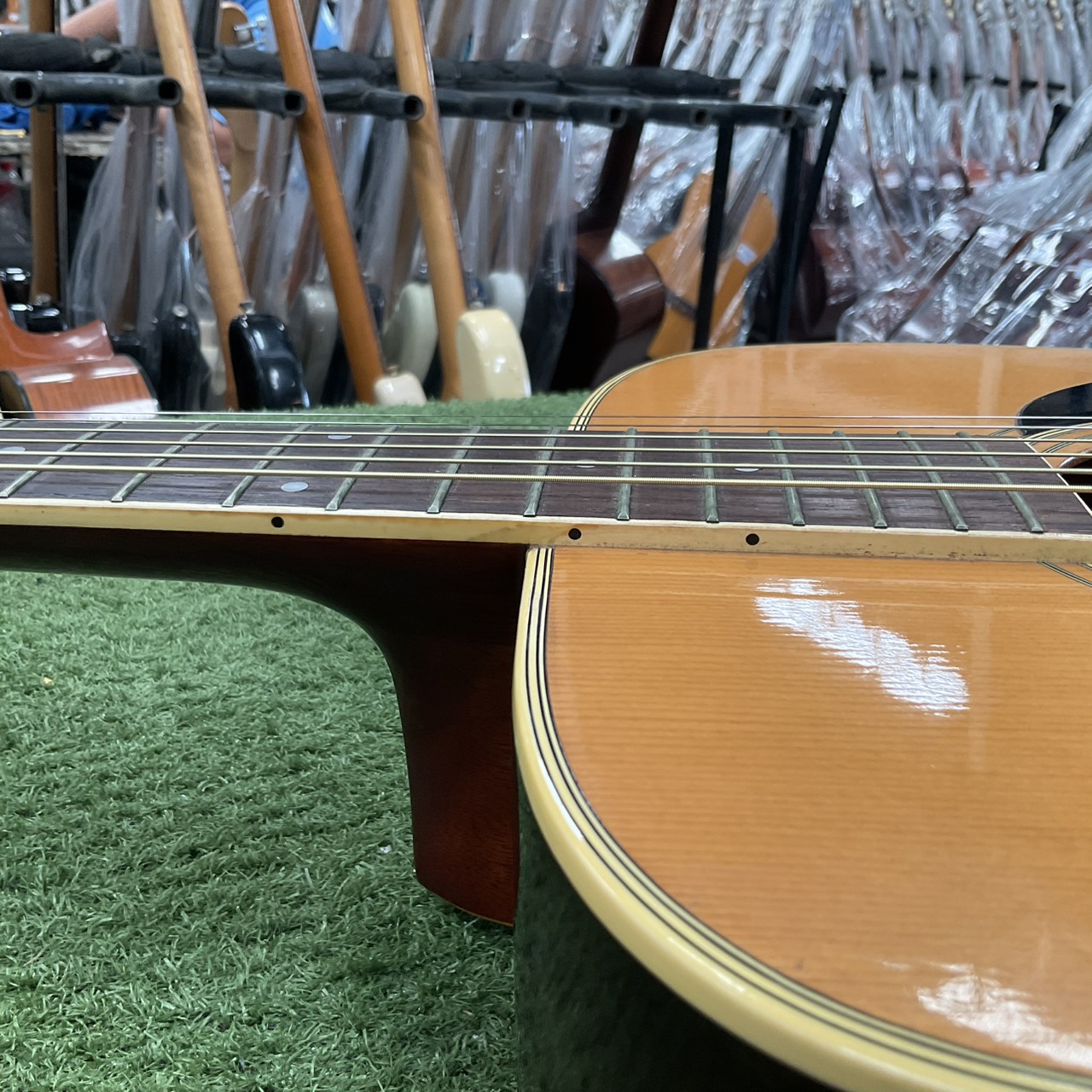 กีต้าร์โปร่ง Morris : W-20