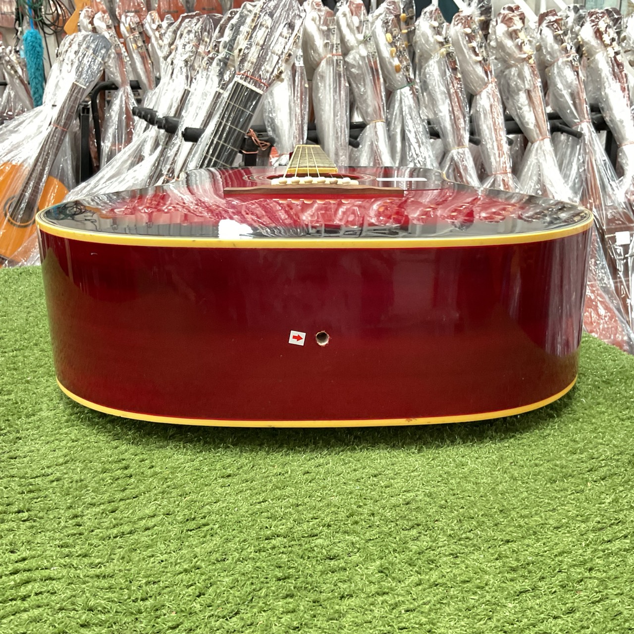 กีต้าร์โปร่ง Mavis : MW-200