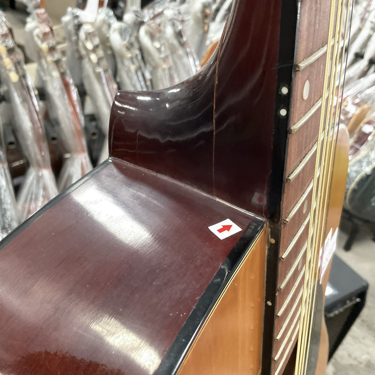 กีต้าร์โปร่ง Horugel : SF150