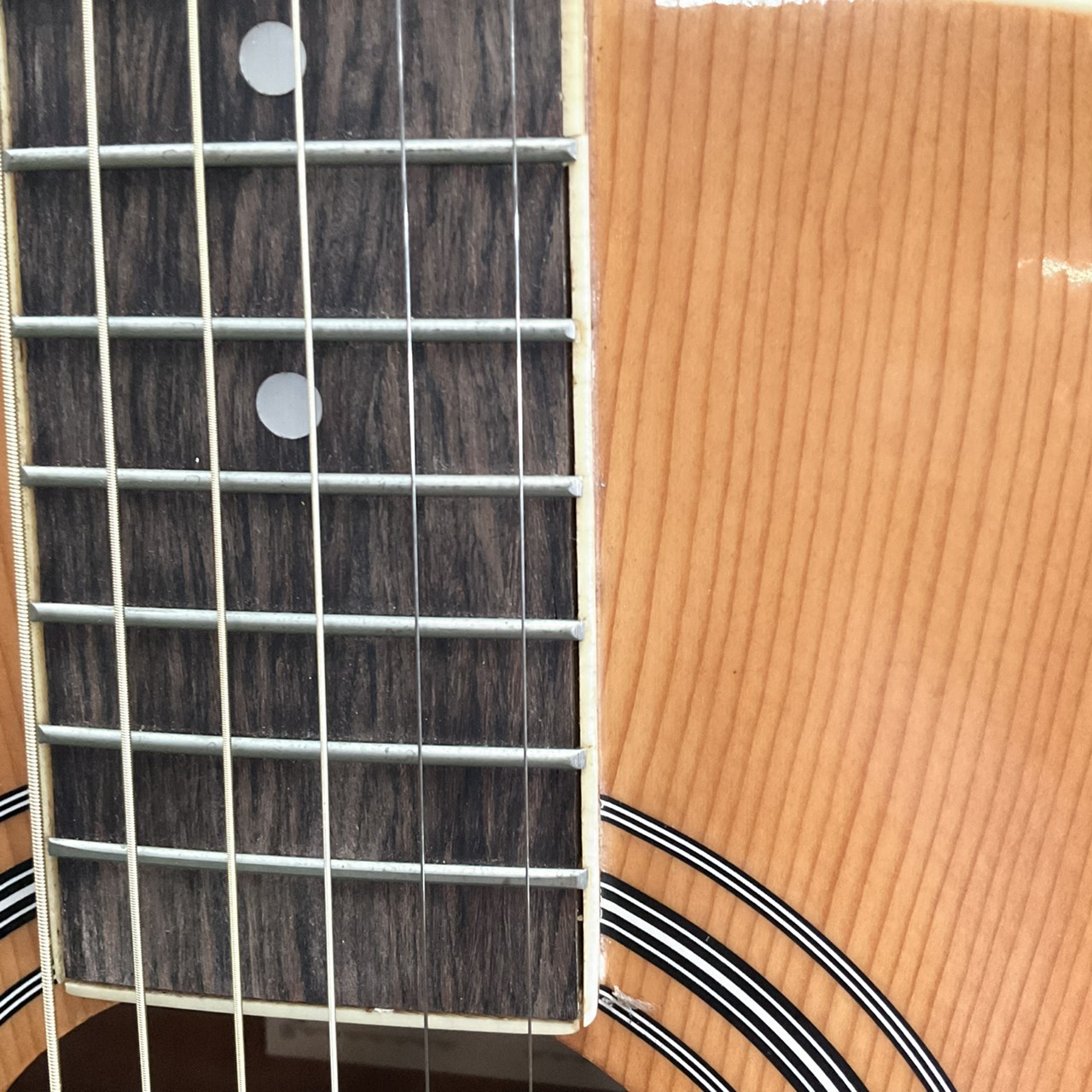 กีต้าร์โปร่ง HONEY BEE : F-15 N