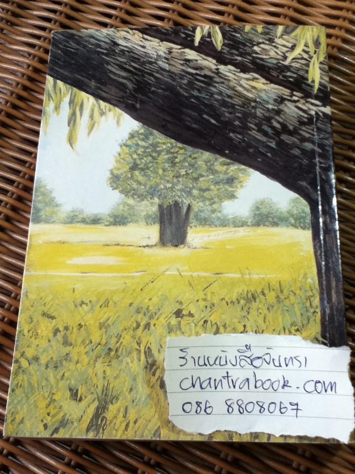 ต้นส้มแสนรัก ภาค 2/ โจเซ่ วาสคอนเซลอส