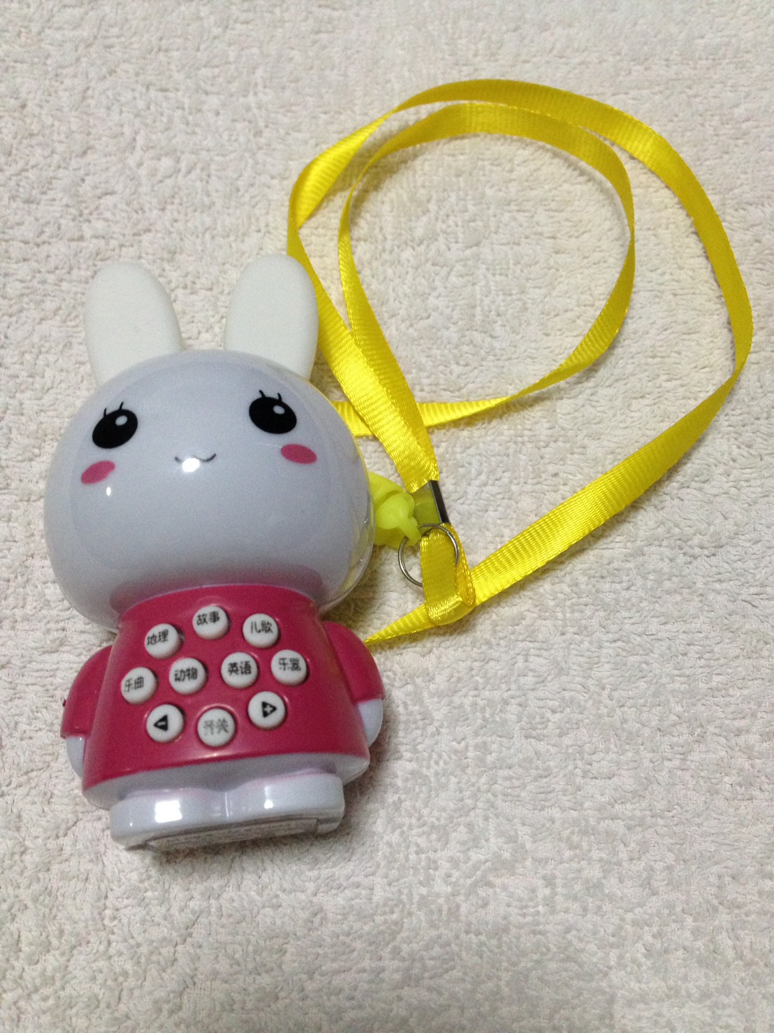 กระต่ายออกเสียง ร้องเพลง ภาษาจีน