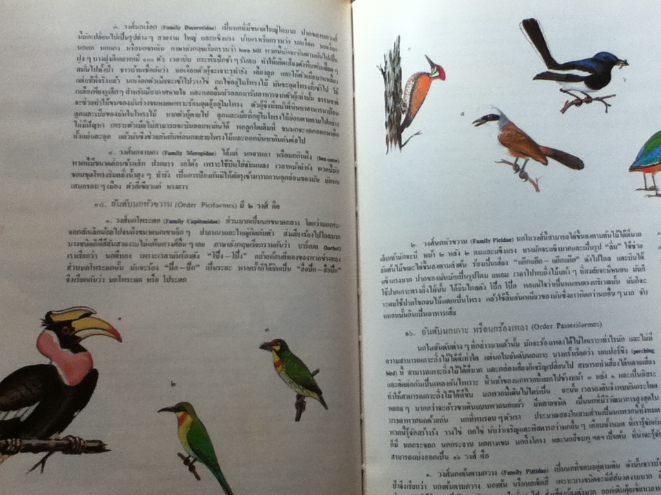 สารานุกรมไทยสำหรับเยาวชน โดย พระราชประสงค์ในพระบาทสมเด็จพระเจ้าอยู่หัว เล่ม 1