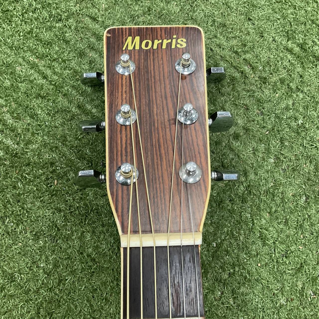 กีต้าร์โปร่ง Morris : W-23