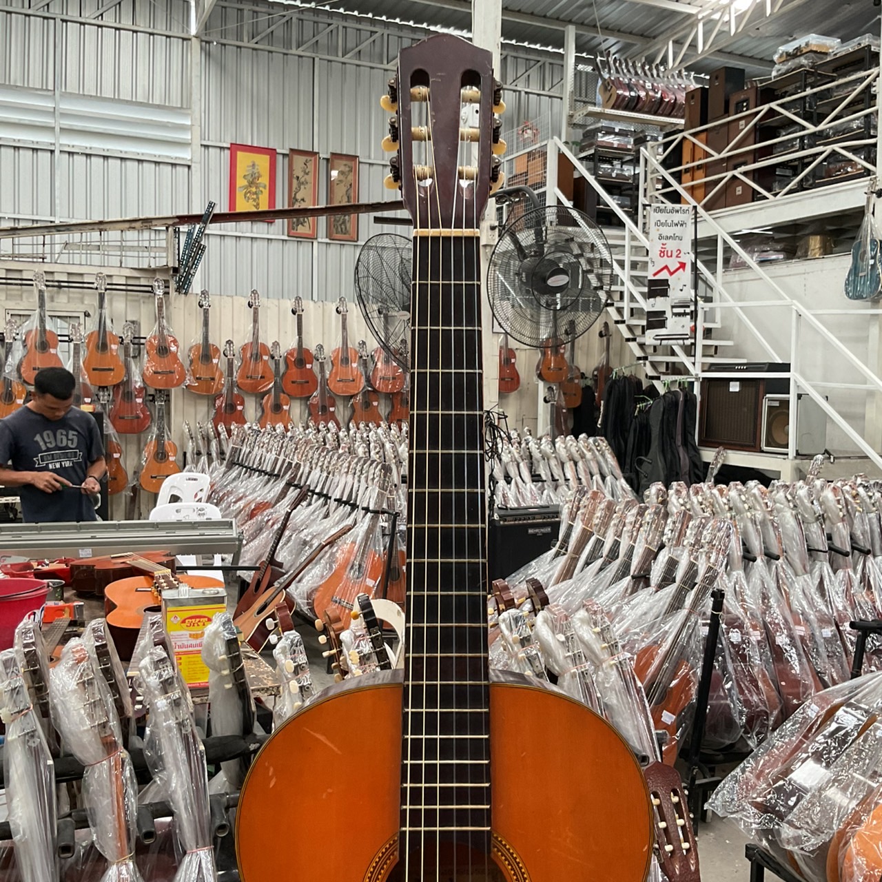 กีต้าร์คลาสสิค Azalea