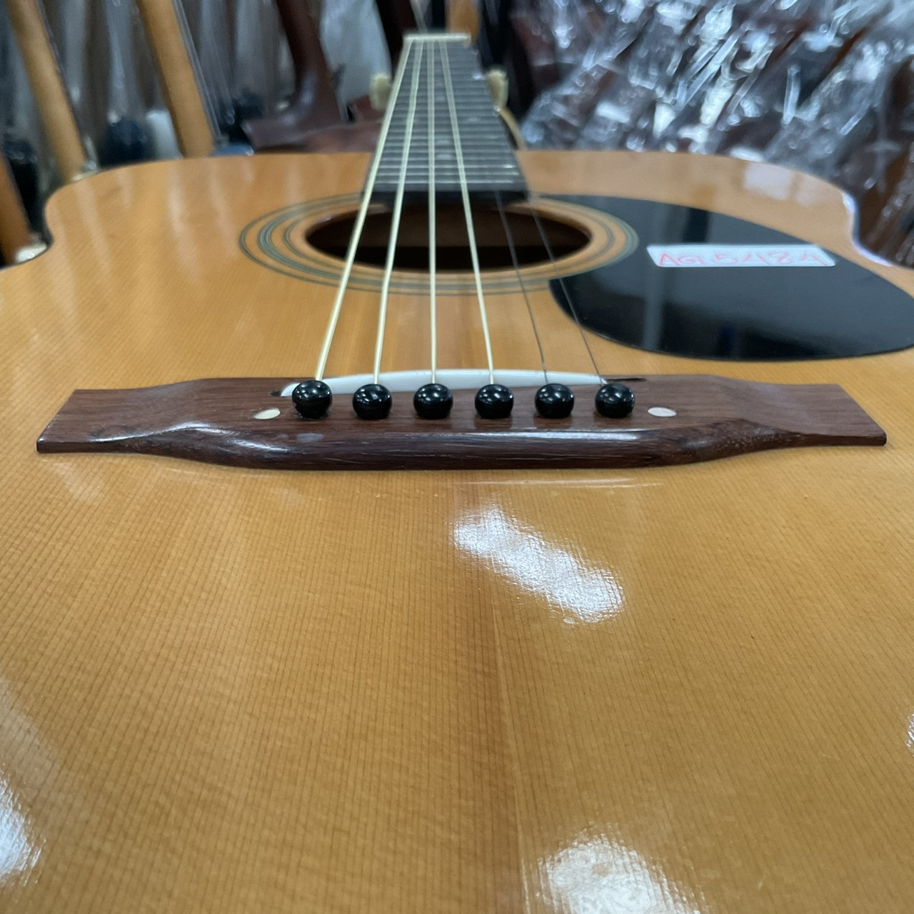 กีต้าร์โปร่ง Great Lake : F-101