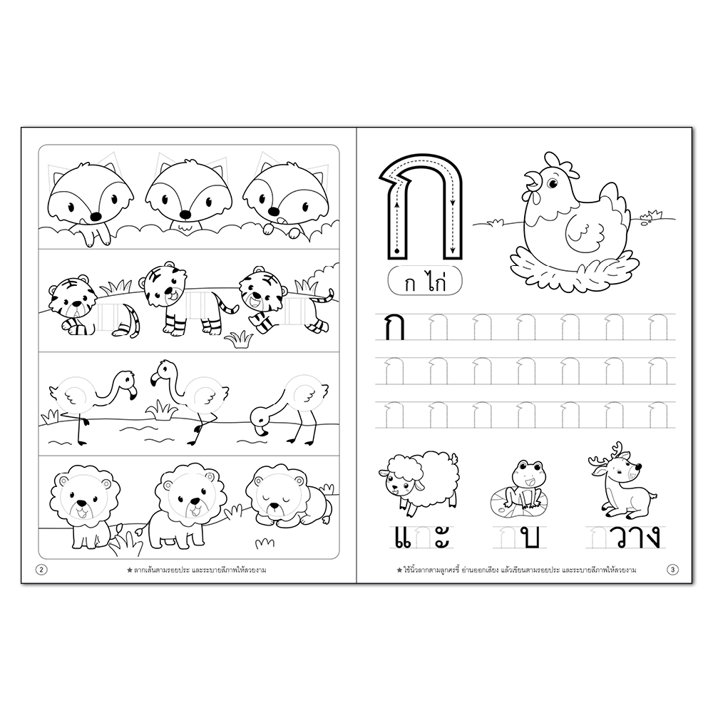 Book World หนังสือ แบบฝึก คนเก่ง อ่านออก เขียนได้ ก-ฮ เล่ม 2 พร้อมเรียนรู้คำศัพท์