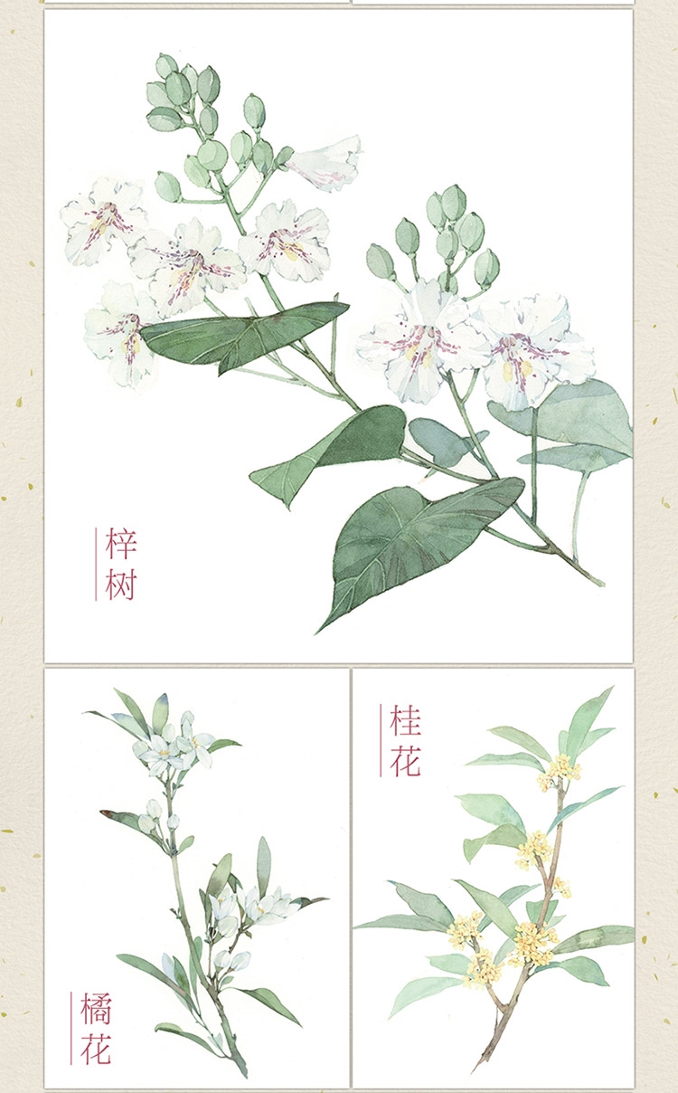 (Pre-order) หนังสือสอนเทคนิคระบายสีน้ำของ MUSHIJUN